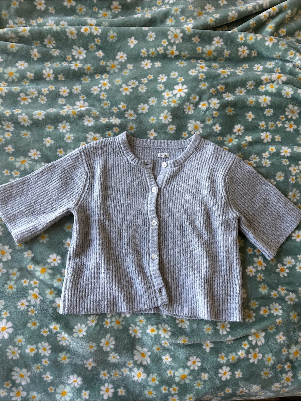 Aerie short sleeve sweater